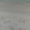 mars’ chamomile hibiscus friendship tea a white sand beach with footprints in it leading to clear ocean water.